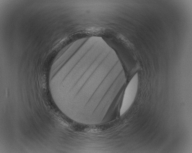 X0000080660689200701121607