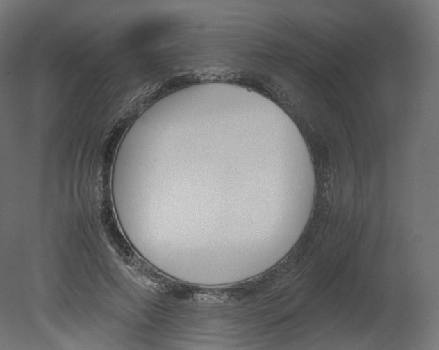 X0000080660690200701121607