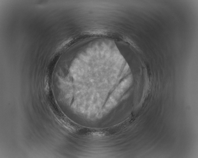 X0000080660692200701121607