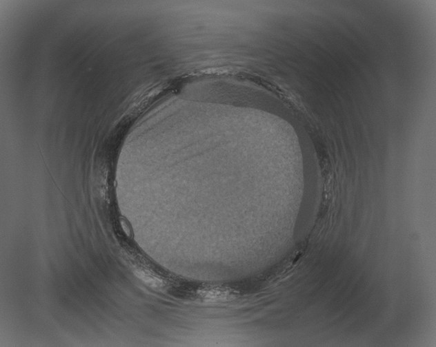 X0000080660693200701121607