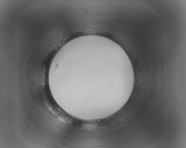 X0000080660694200701121607