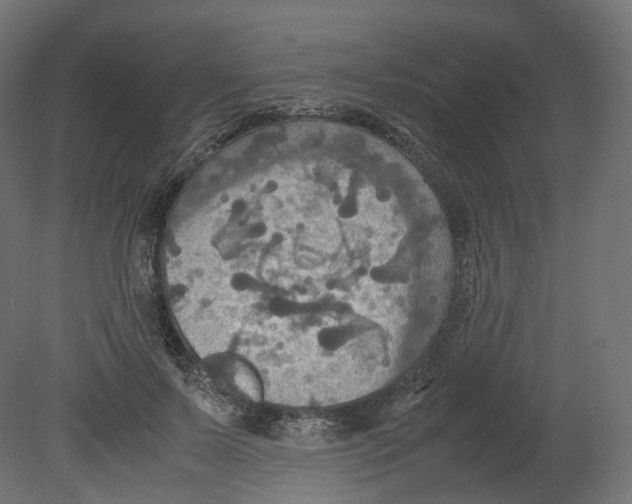 X0000080660695200701121607