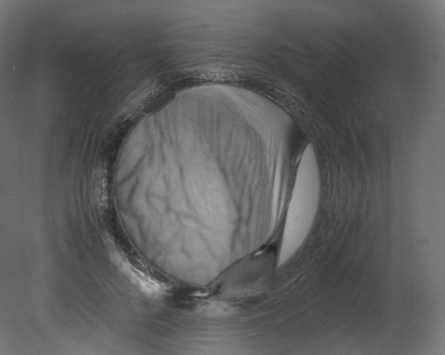 X0000080660696200701121607