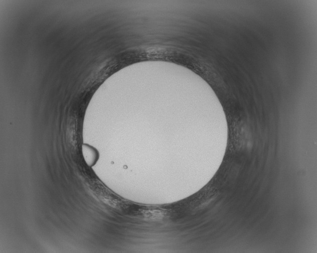 X0000080660698200701121607