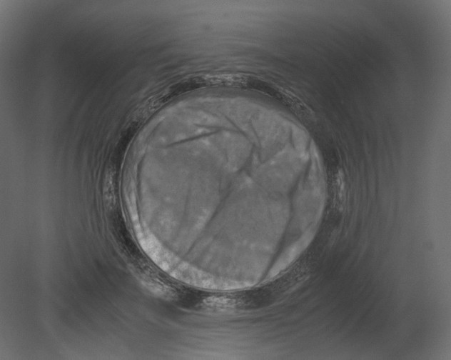 X0000080660699200701121607