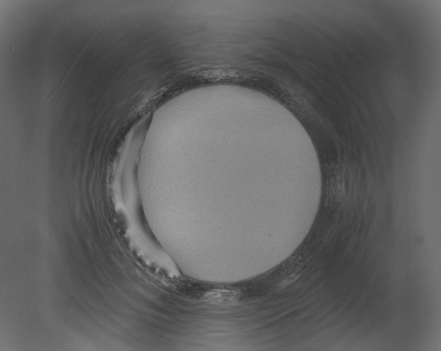 X0000080660700200701121607