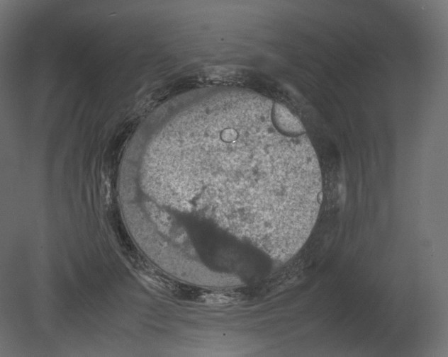 X0000080660703200701121606