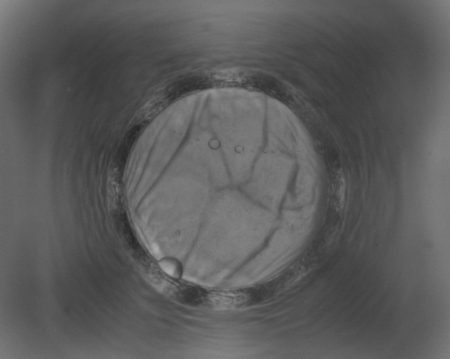 X0000080660707200701121606