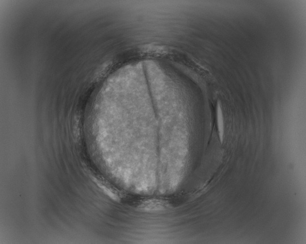 X0000080660708200701121606