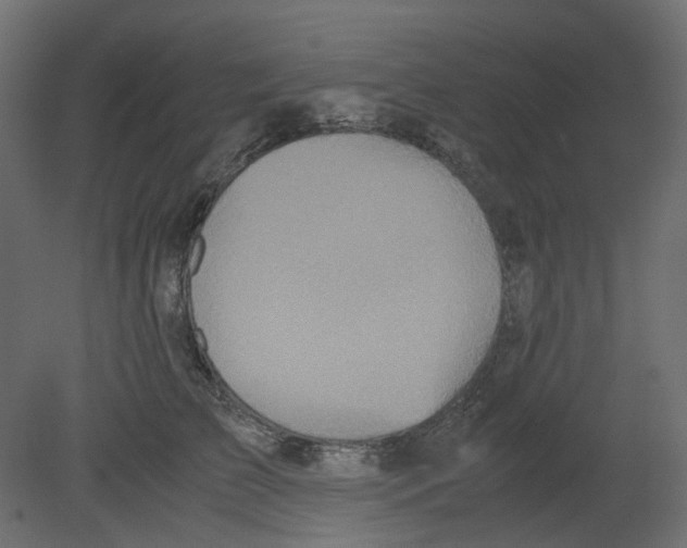 X0000080660709200701121606