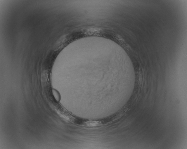 X0000080660711200701121606