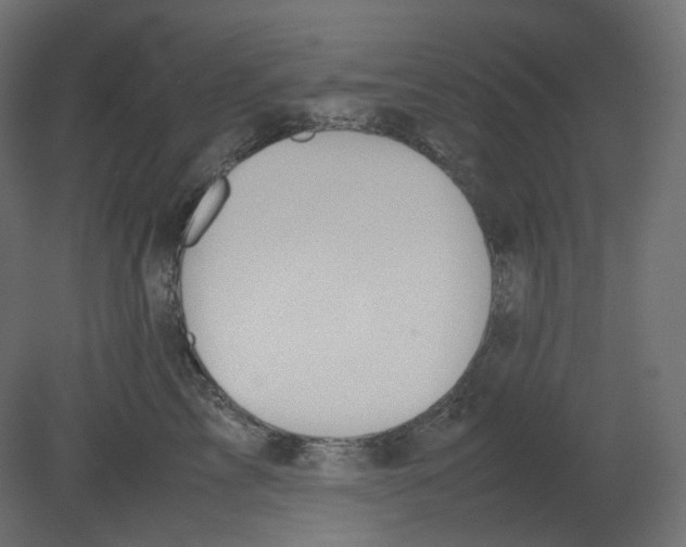 X0000080660713200701121606