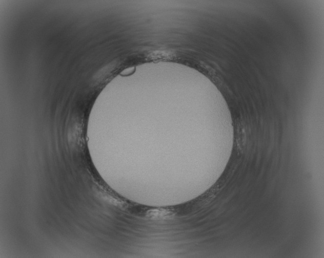 X0000080660714200701121606