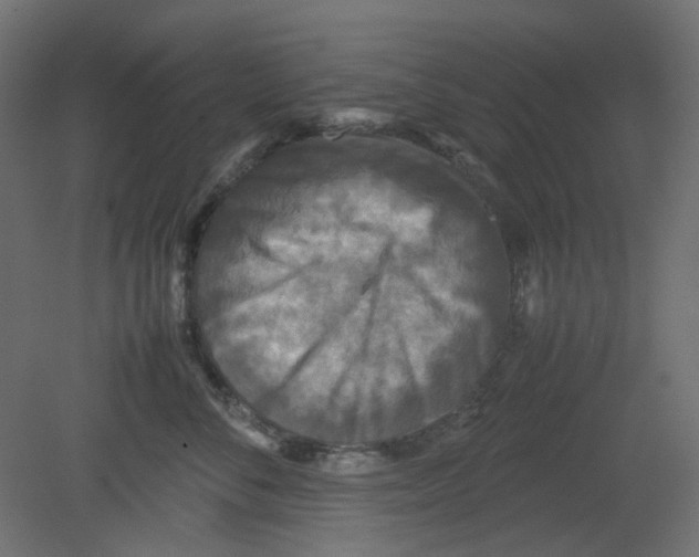 X0000080660716200701121606