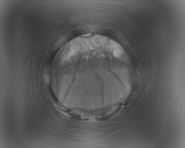 X0000080660719200701121606