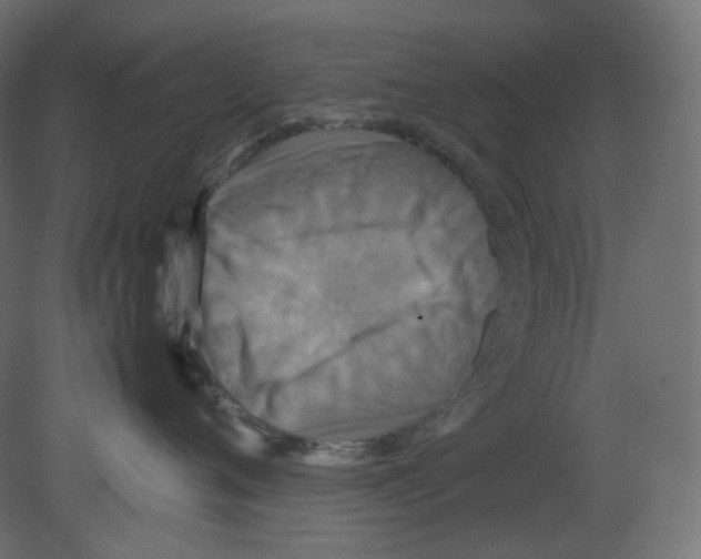 X0000080660720200701121606