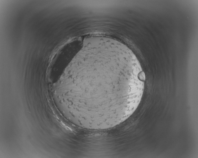 X0000080660721200701121605