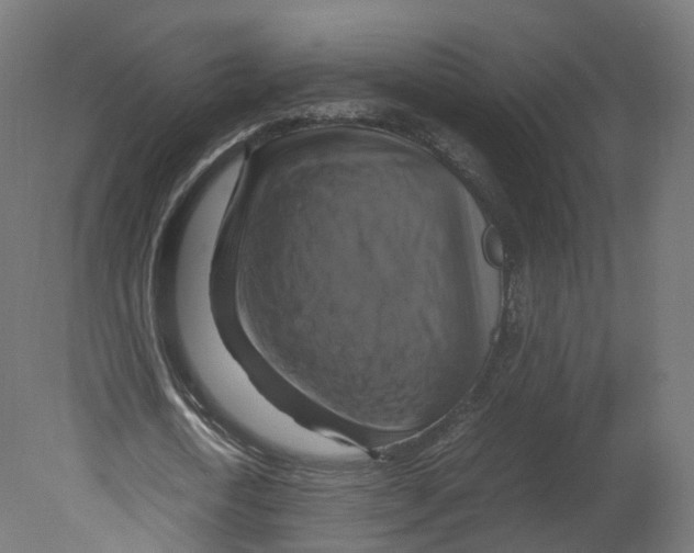 X0000080660722200701121605