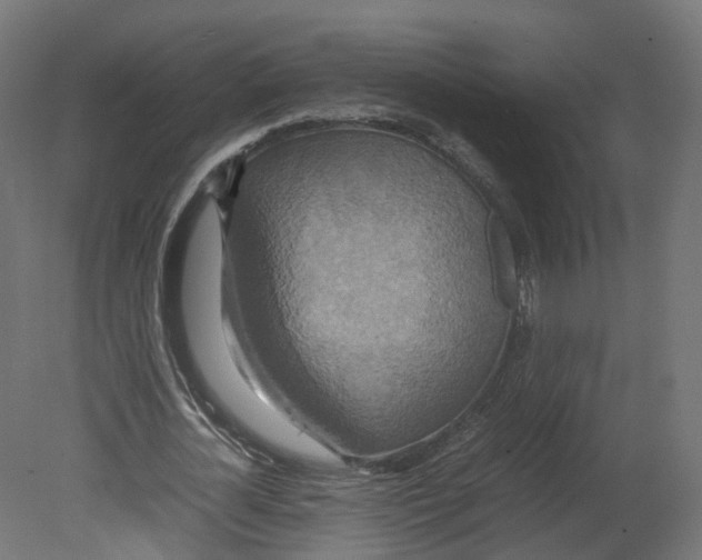 X0000080660724200701121605