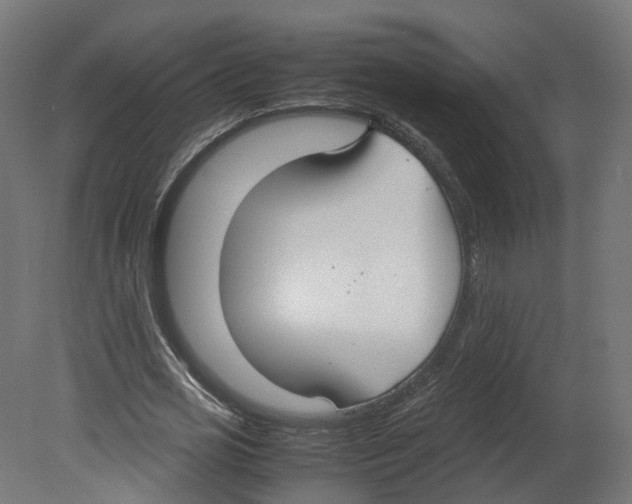 X0000080660725200701121605