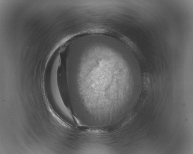 X0000080660726200701121605