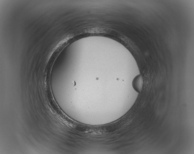 X0000080660727200701121605