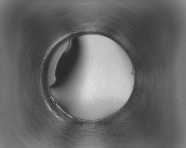 X0000080660728200701121605