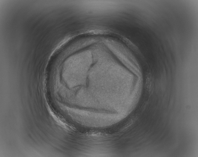 X0000080660730200701121606