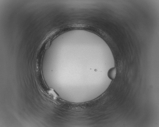 X0000080660731200701121606