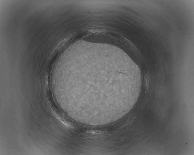 X0000080660733200701121606