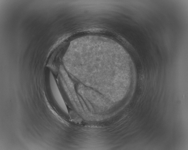 X0000080660734200701121606