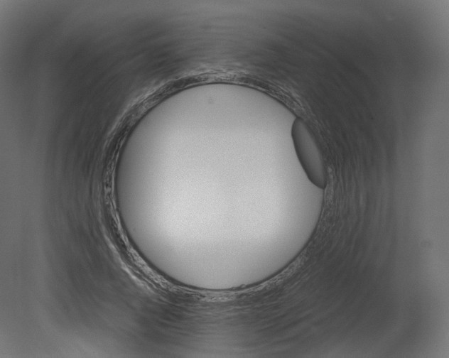 X0000080660736200701121606