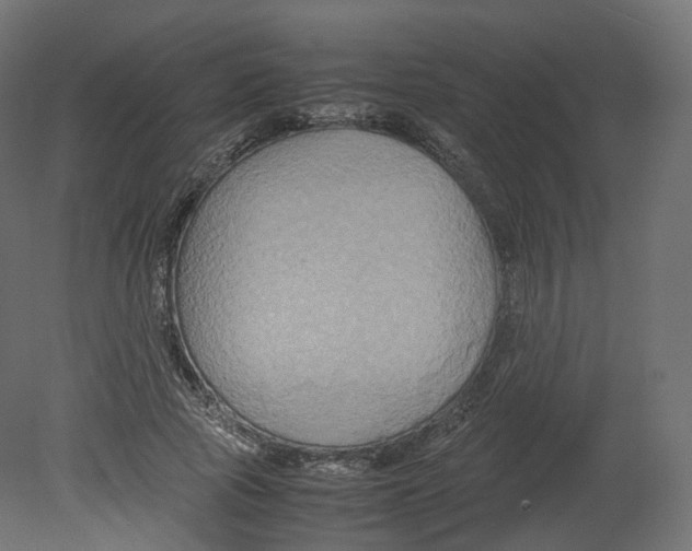 X0000080660737200701121606