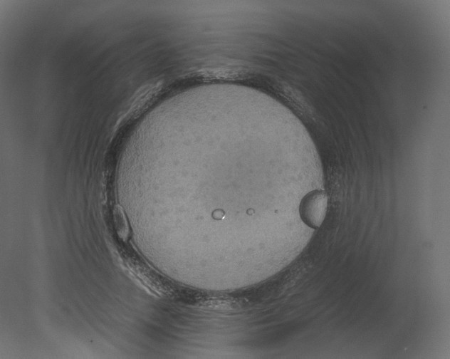 X0000080660738200701121606