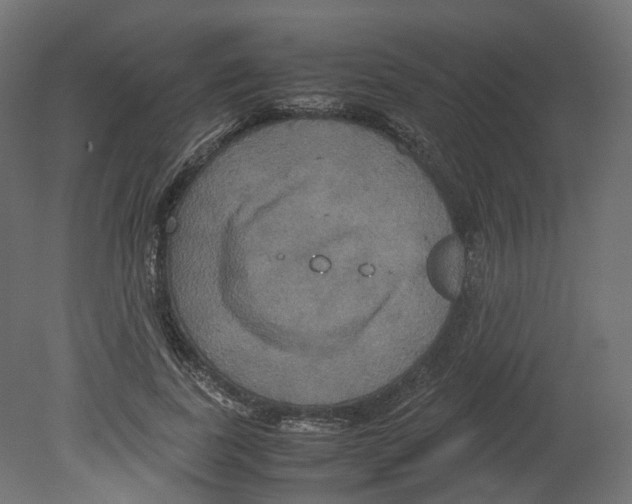 X0000080660739200701121606