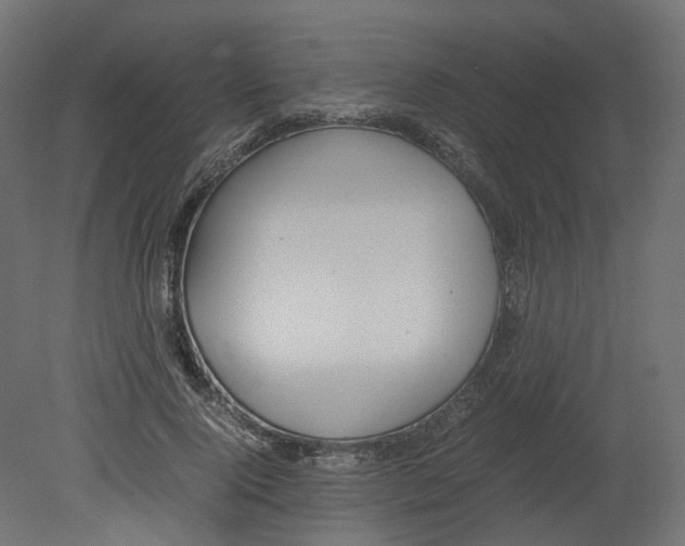 X0000080660740200701121606