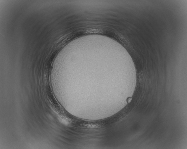 X0000080660741200701121606