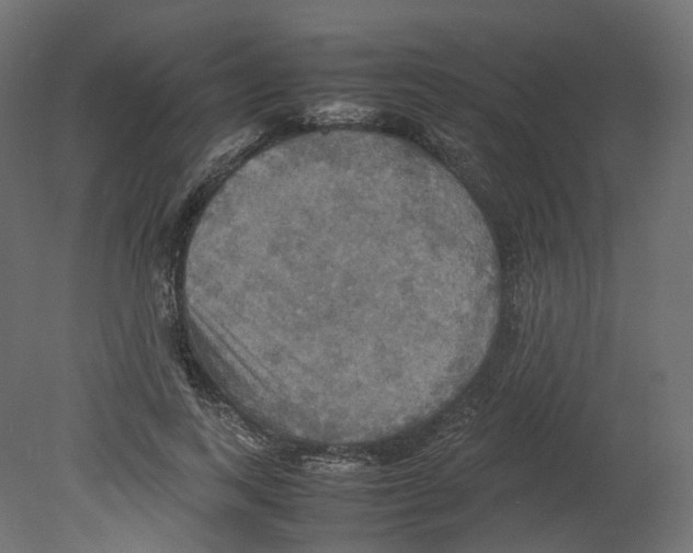 X0000080660743200701121606