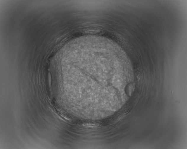 X0000080660745200701121606