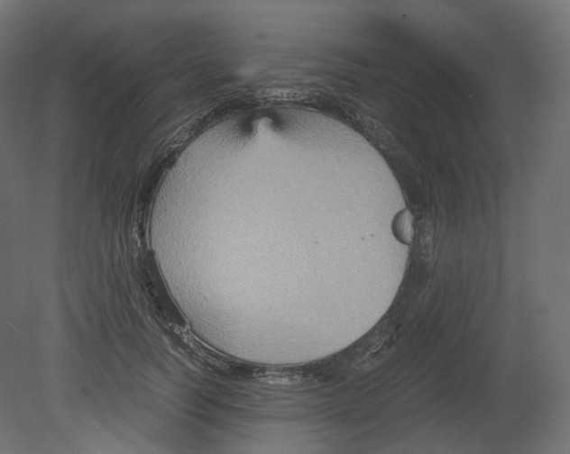 X0000080660746200701121606