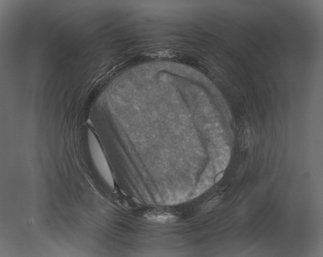 X0000080660747200701121606