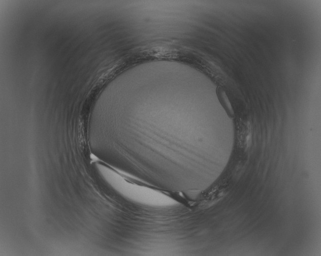 X0000080660748200701121606