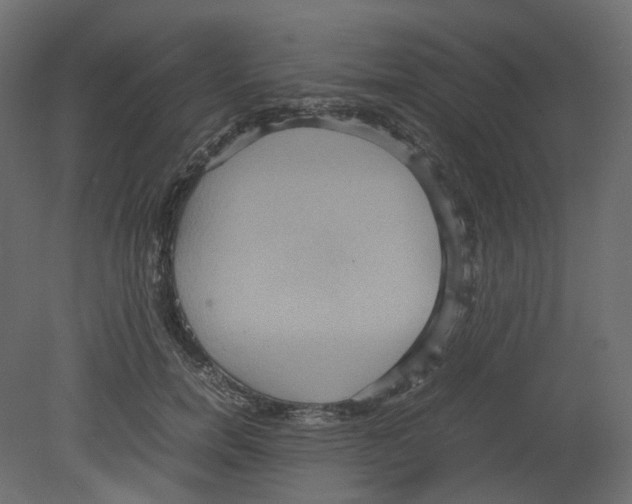 X0000080660750200701121606