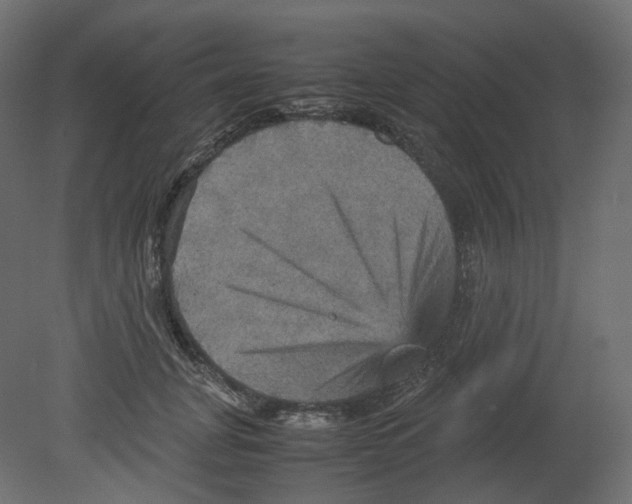 X0000080660751200701121606