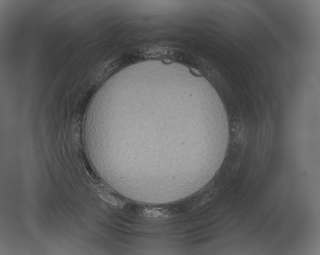 X0000080660753200701121606