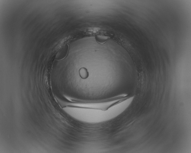 X0000080660754200701121606