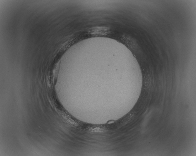 X0000080660755200701121606