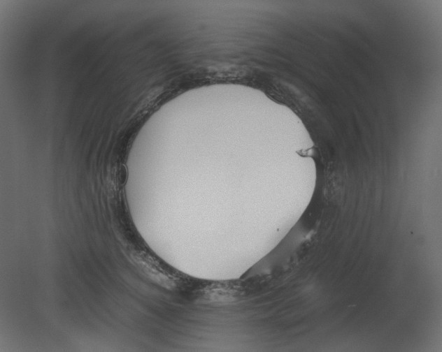 X0000080660756200701121606