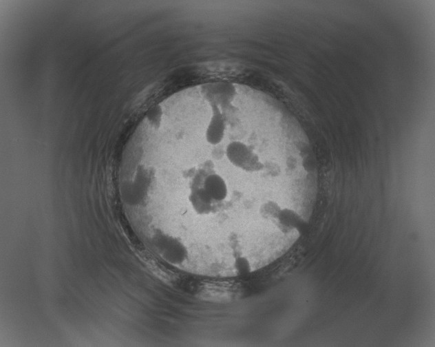 X0000080660757200701121606