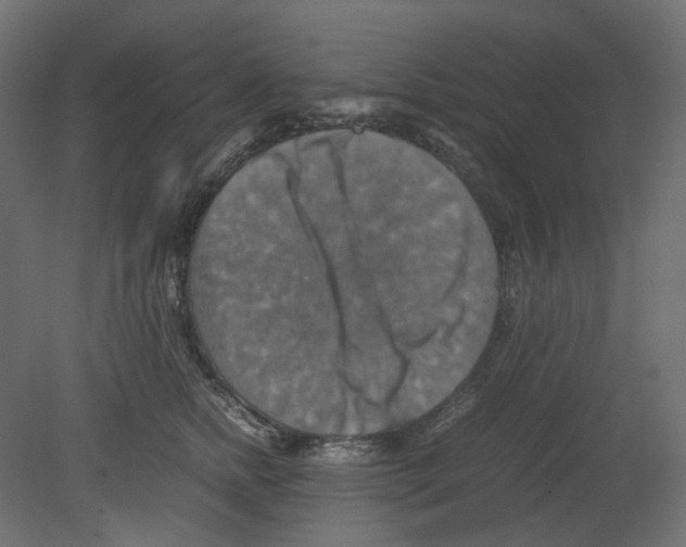 X0000080660758200701121606